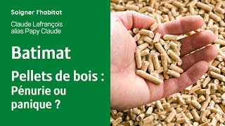 Pellets de bois  pénurie réelle ou panique [upl. by Letsirk]