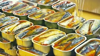 Comment les Sardines en Conserve Sont Fabriquées 🥫 [upl. by Oicanata379]