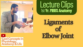 Lecture Clip Anatomy of Ligaments of Elbow Joint  1st Year MBBS [upl. by Norrek]