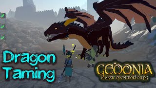 GEDONIA Dragon Taming  gameplay how to tame the Dragon [upl. by Otreblon]