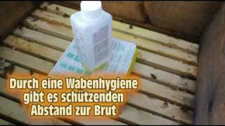 Varroa Behandlung mit dem Liebig Dispenser [upl. by Aillil]