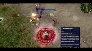 silkroad pvp roguewarlock 98 vs 100lvl FF [upl. by Nirtak768]