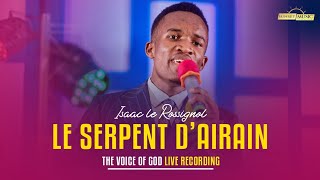 Isaac Le Rossignol  Serpent dairain Live à Goma [upl. by Akeyla431]