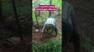 படைப்பதை வணங்கி மகிழும் விவசாயி vedaranyam agriculture கன்னியாகுமரி DrPMuthukrishnan [upl. by Nyram962]