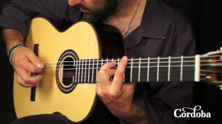 Cordoba Guitars  C10 Spruce [upl. by Ennovaj]