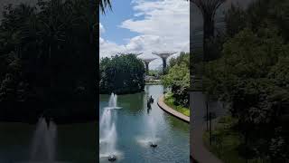 Dragon Bridge in Gardens by the Bay [upl. by Gipson254]