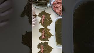 Wrap Vine Leaves with me lebanesefood [upl. by Eintrok43]