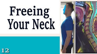 12 Freeing Your Neck  Learning to Control Your Neck and Head [upl. by Osborne48]