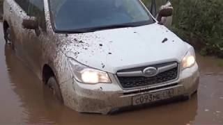 Subaru Forester 2013 off road test drive [upl. by Isayg]