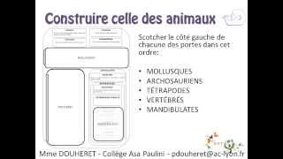 Construire une classification des êtres vivants [upl. by Eat]