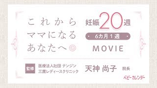 【医師監修 妊娠20週の過ごし方】これからママになる妊娠6カ月のあなたへ [upl. by Pricilla]