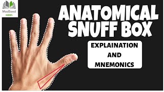 Anatomical Snuff box Anatomy explained [upl. by Rol]