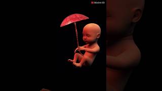 PLACENTA PREVIA  What is Placenta previa  Modvr3D [upl. by Htaek]