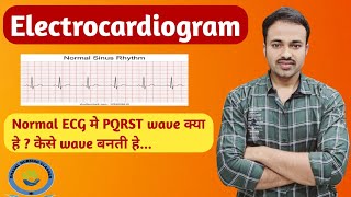 Electrocardiogram ECG Basics ECG PQRST wave Hindi amp English [upl. by Nodnart60]