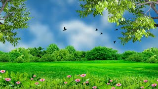 Nature background video effect  landscape background hd [upl. by Dyan612]