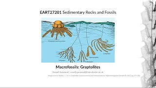 Graptolites Video 1  EART27201  Sedimentary Rocks and Fossils [upl. by Sivaj]