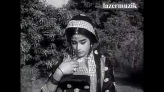 NOOR JEHAN MAHI VE MAINU LAAL GUDDO [upl. by Concoff974]