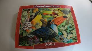 Time Lapse Puzzle Castorland Interlude 3000 [upl. by Irrem929]