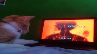 MI gato se enoja porque no puede ver Dragón ball super  no creerás lo que paso  Jose Ramirez R1 [upl. by Ralston853]