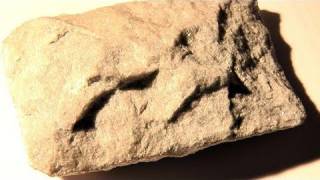 How To Know About Metamorphic Rocks [upl. by Onitrof]