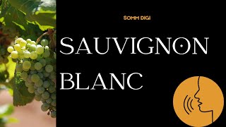 Sauvignon Blanc Pronunciation How to Pronounce sauvignonblanc pronunciation [upl. by Gallard]