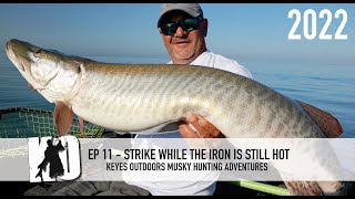 STRIKE While the MUSKIEIron is HOT  Keyes Outdoors Musky Hunting Adventures [upl. by Siva]