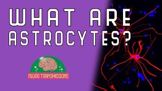 What Are Astrocytes [upl. by Tail]