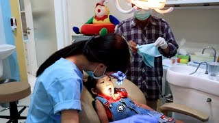 Hana Berani Ke Dokter Gigi Anak  Perawatan amp Periksa ke Dokter Gigi Anak  DentalCare Orthodontics [upl. by Merridie]