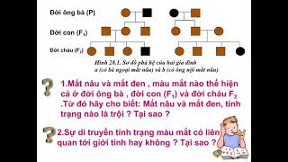 TUẦN 14 SINH HỌC 9 BÀI 28 PHƯƠNG PHÁP NGHIÊN CỨU DI TRUYỀN HỌC NGƯỜI [upl. by Chaudoin]