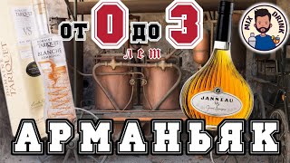 АРМАНЬЯК от 0 до 3 лет  Armagnac VS или Blanche 46  Janneau Domaine TARIQUET [upl. by Nossaj960]