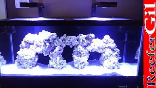 75 Gallon Saltwater Aquarium Cycle [upl. by Perry]