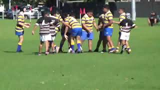 SPC U13 Open Blue Marist vs U13 Manukau Rovers 4th May 2024 [upl. by Ailelc]