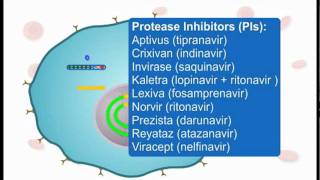 How ARVs Work Part 3 of 3 [upl. by Corder]