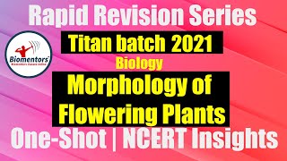 Titan Batch 2021 Morphology Of Flowering Plants  Rapid Revision Series  OneShot  NCERT Insights [upl. by Dnivra242]