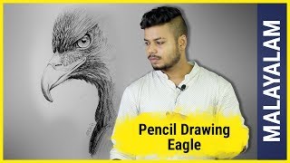 Eagle Pencil Drawing  Malayalam Art Tutorial 8 [upl. by Ddot331]