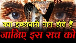 क्या इच्छाधारी नाग होते हैं जानिए इस सच को What is Ichchadhari Nagin [upl. by Pillyhp]