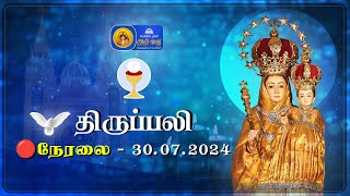 🔴 LIVE  Holy Mass in Tamil  30th July 2024  Annai Vailankanni Shrine  Besant Nagar Annai [upl. by Yelwah251]