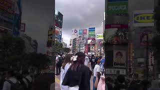 Shibuya Crossing Tokyo Japan [upl. by Elleinet367]