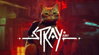 STRAY  Coming to macOS December 5 [upl. by Gotthelf]