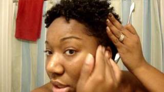 Quick and Easy Wash N Go for Natural Hair [upl. by Leahcimauhsoj]