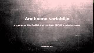 Medical vocabulary What does Anabaena variabilis mean [upl. by Pier]