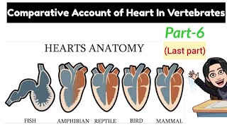 6Comparison Table of Heart in Vertebrates amp Aortic ArchScoliodonRanaCalotesColumbaOrychtolagus [upl. by Eryt667]