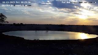 Okaukuejo Resort Wildlife Waterhole Live camera stream in the Etosha National Park in Namibia [upl. by Haroldson]