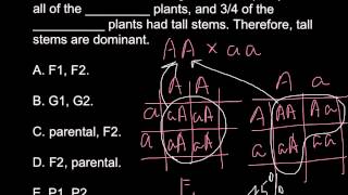 What is Monohybrid cross [upl. by Stav]