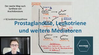 PROSTAGLANDINE und LEUKOTRIENE ENDLICH VERSTEHEN Fettstoffwechsel Teil 4  Biochemie Now [upl. by Hassett]