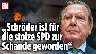 Wegen PutinLobbyismus SchröderMitarbeiter schmeißen hin  Claus Strunz bei BILD Live [upl. by Notsur]