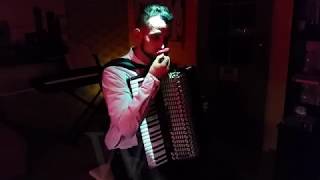 Ojciec Chrzestny  The Godfather  Akordeon accordion cover [upl. by Ilhsa]