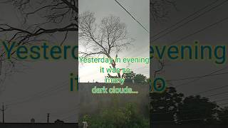 Heavy rain signals 😨🌧️🌧️🌧️ heavyrain raininpunjab weatherupdate weather dailyvlog alert [upl. by Anolla]