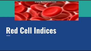 RBC Indices [upl. by Karyn982]