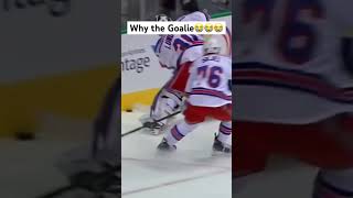 Biggest Hits In The NHL pt4 hockeyhighlights hockeyhits nhl [upl. by Cele]